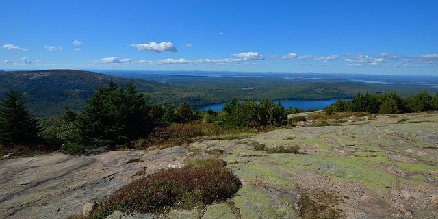 insurance-maine-640x480-41861982.jpeg