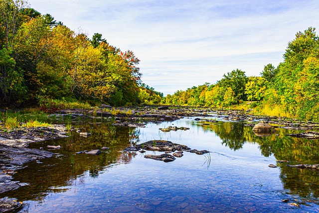 Progressive Auto Insurance: Top Choice for Optimal Maine Coverage